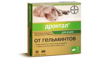 Через сколько начинают действовать таблетки от глистов для кошек