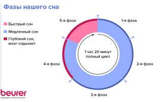 Стадии сна
