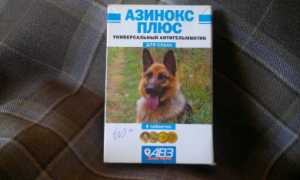 Отравление собаки азинокс плюс
