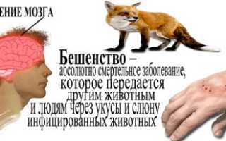 Симптомы и признаки бешенства у человека