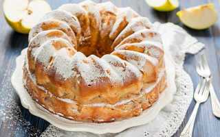 10 пошаговых рецептов шарлотки с яблоками