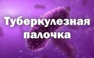 Убивает ли спирт палочку туберкулеза