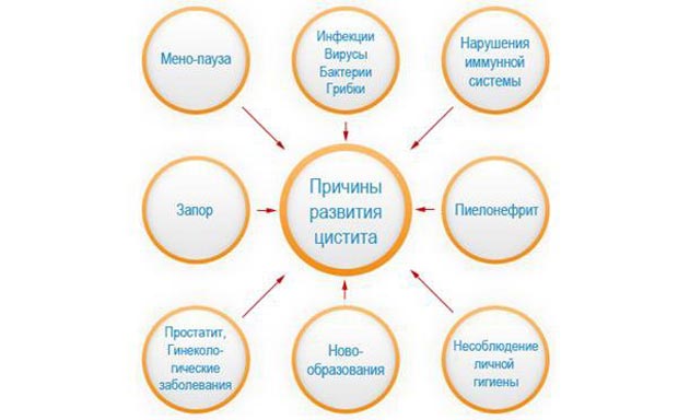 Причины развития цистита 