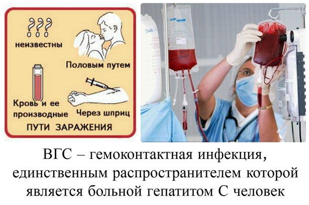 Пути заражения гепатитом С