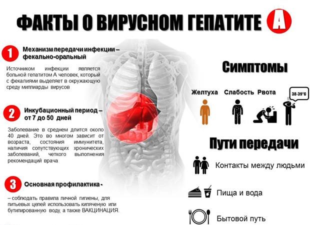 Гепатит А