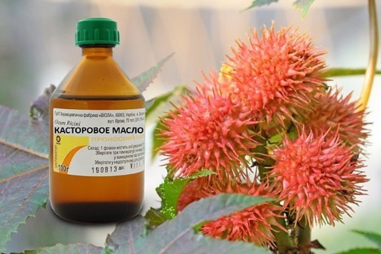 Как наносить касторовое масло на волосы