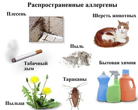 Причины ринита