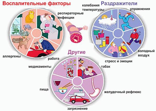Причины развития бронхита