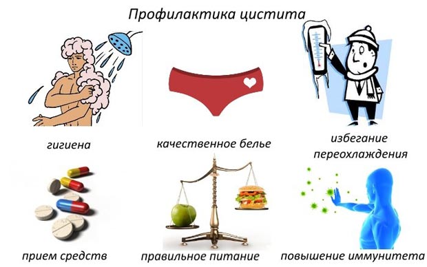 Профилактика цистита