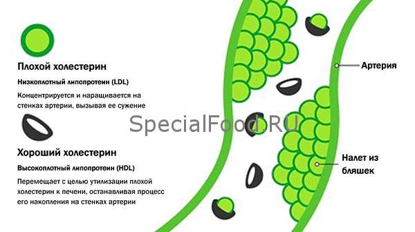 Холестерин