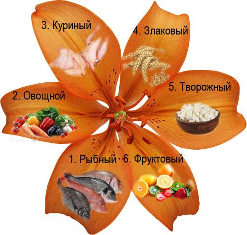 Диета 6 лепестков