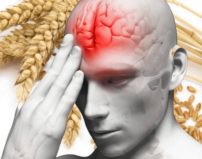 Пища для мозга