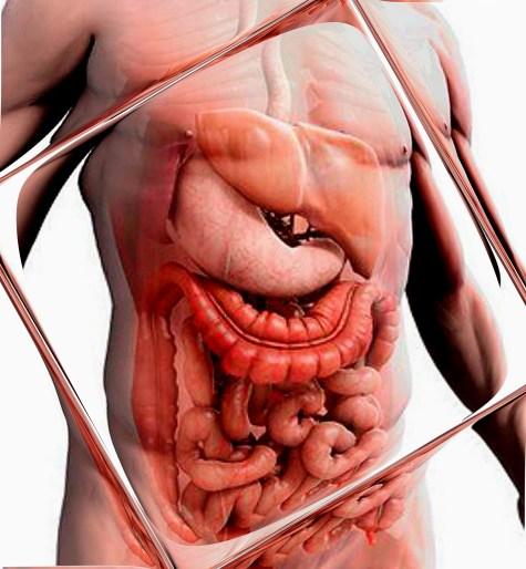 Кандидоз кишечника