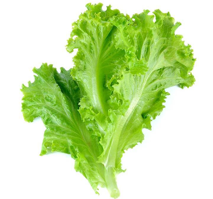 Латук салат