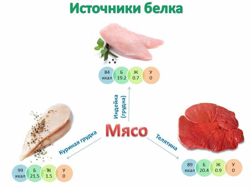 Источники белка