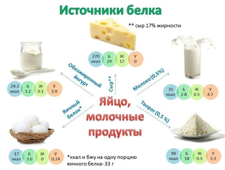 Источники белка