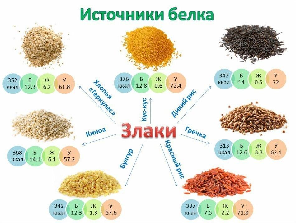 Источники белка