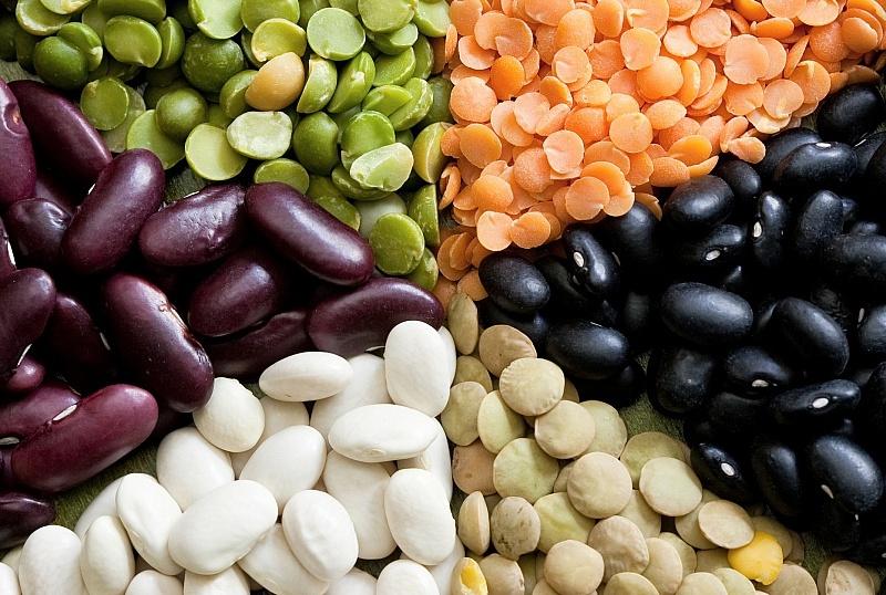 Бобовые культуры1