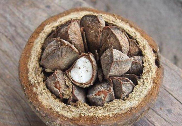 Бразильский орех для беременных