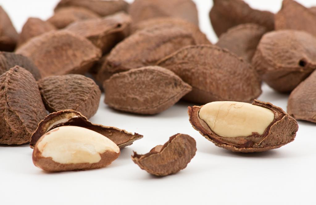 Бразильский орех в скорлупе