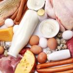 Быстрая белковая диета