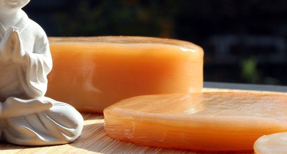 чайный гриб