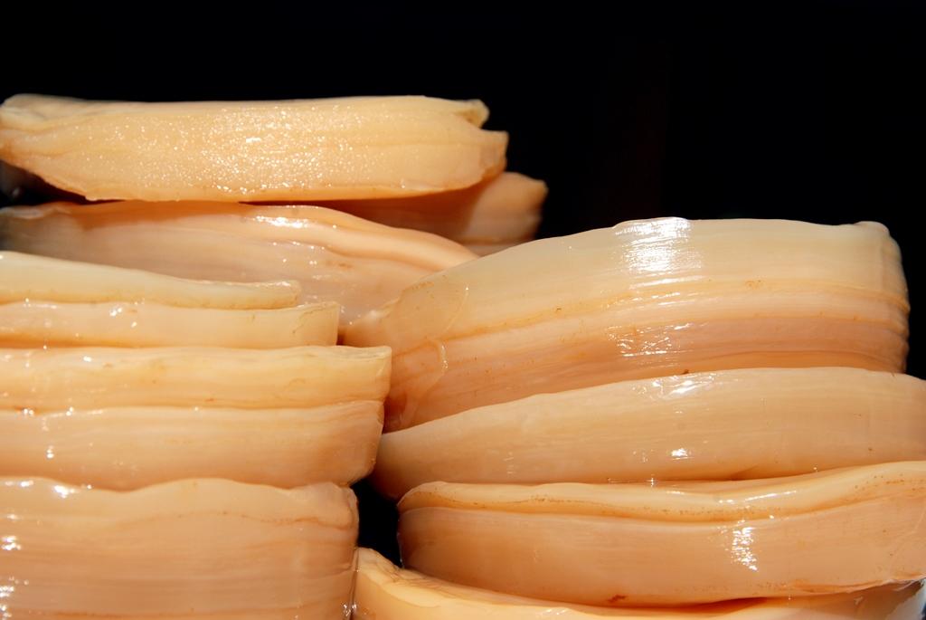 чайный гриб