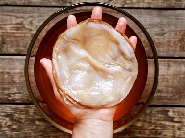 чайный гриб