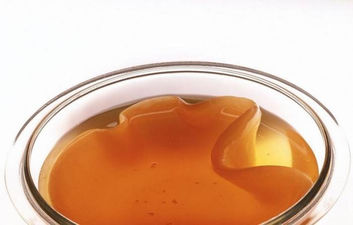 Чайный гриб