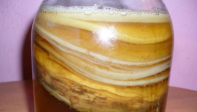 чайный гриб