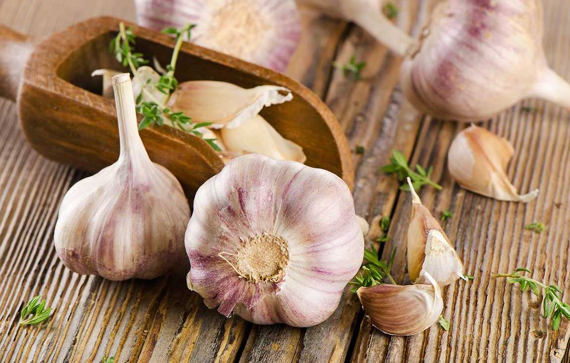 Чеснок
