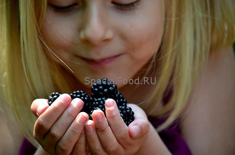 Ежевика в руках