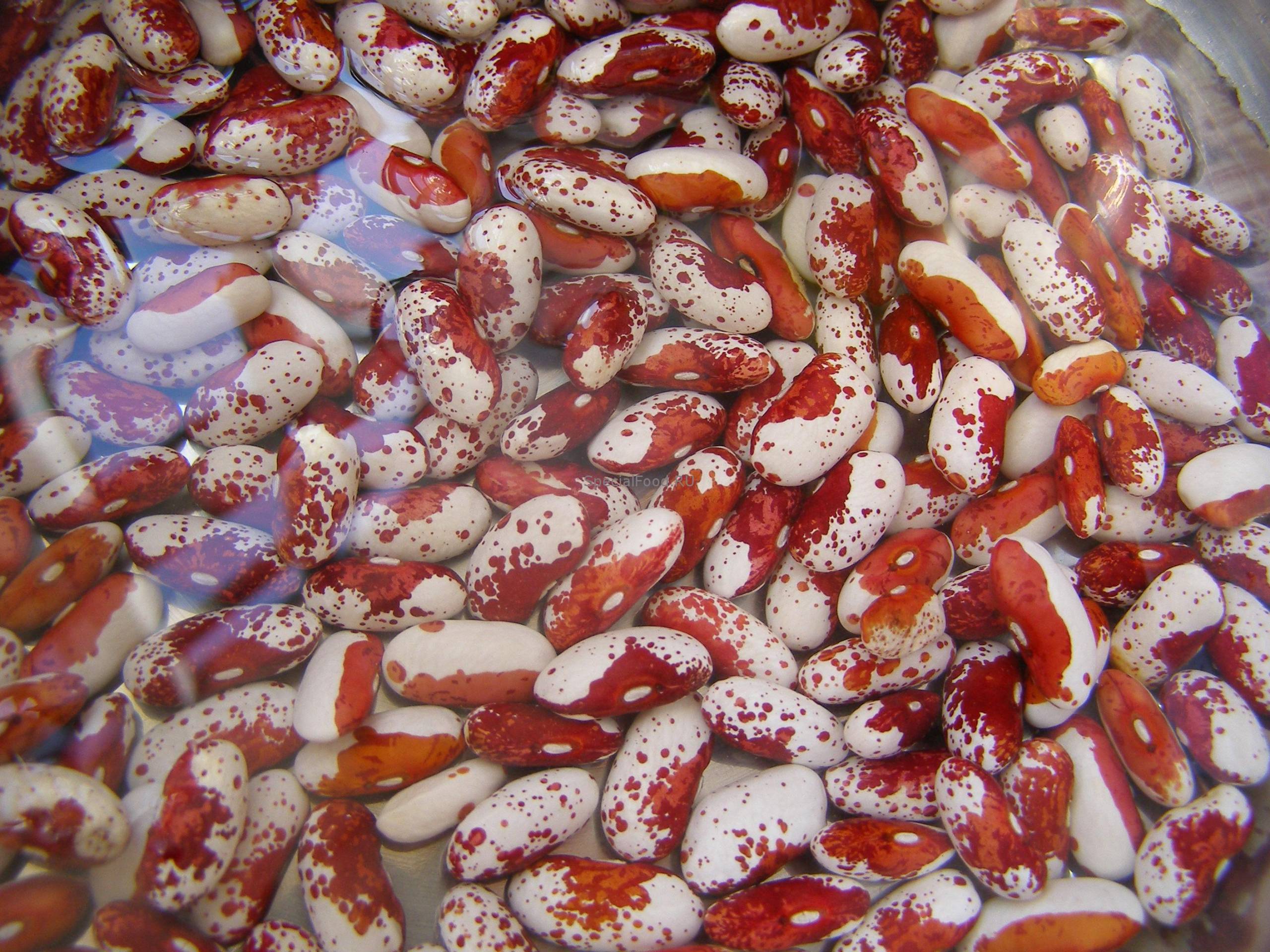 Замоченная фасоль