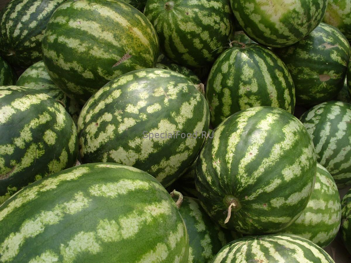 Как выбрать арбуз