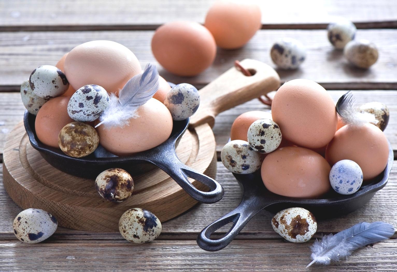 Куриные и перепелиные яйца