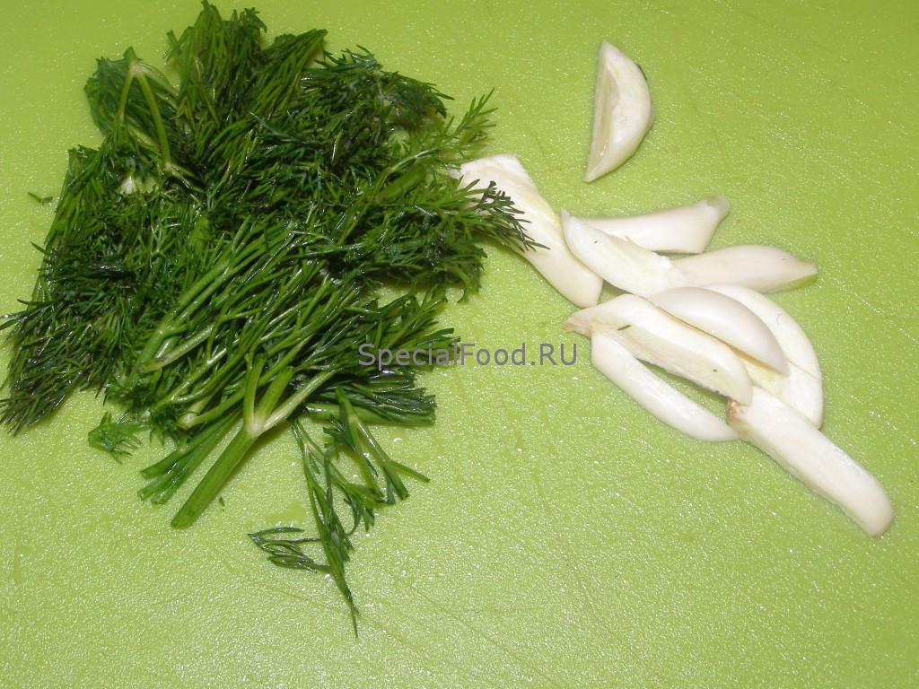 Укроп и чеснок