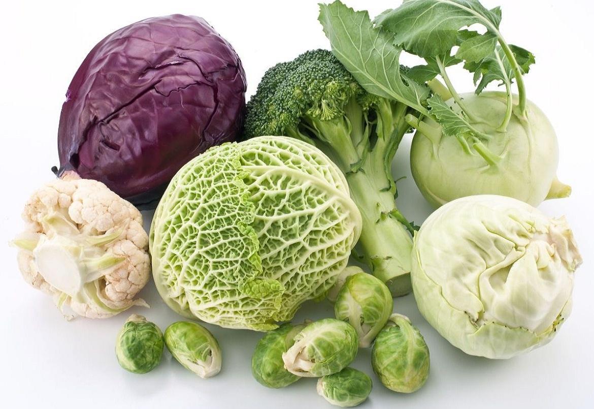 Лечебные свойства капусты