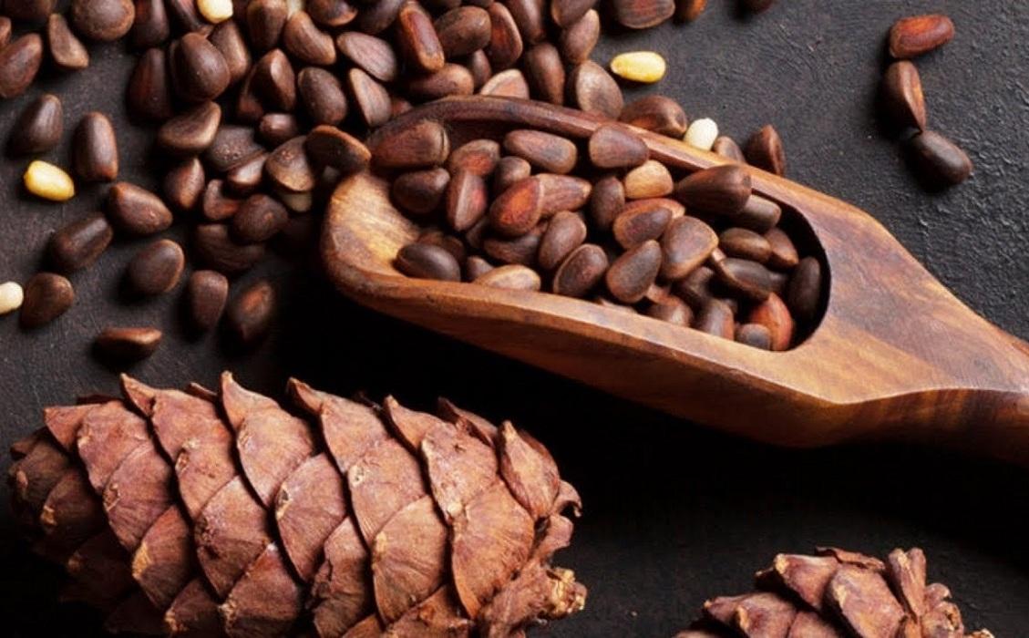 Лечебные свойства кедровых орехов