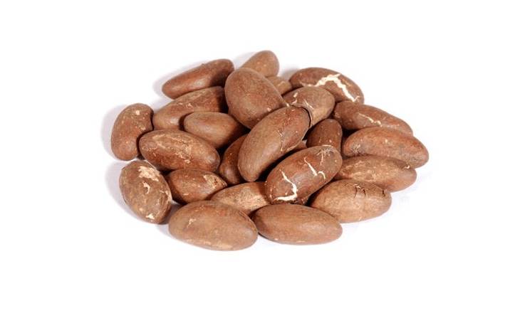 Лечебные свойства ореха колы