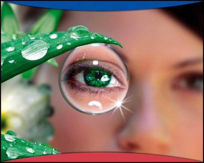 Алоэ — прекрасное средство от ячменя Альтернативное лечение