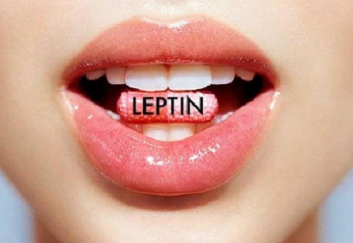лептин гормон