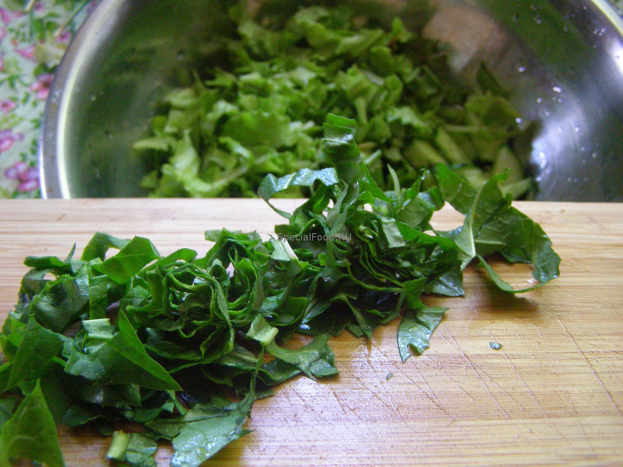 Листья одуванчика