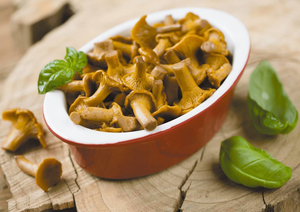 Маринованные лисички