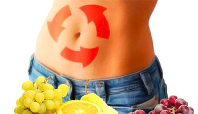 Метаболизм