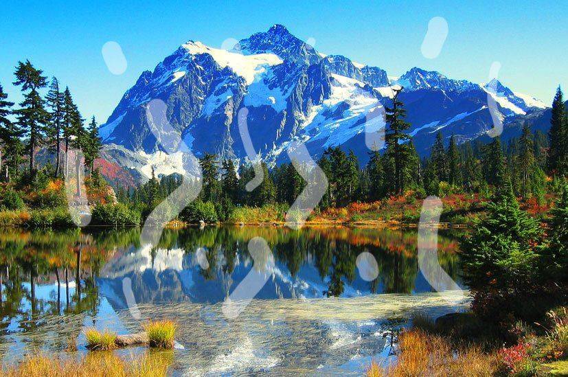 Мушки в виде линий Прозрачные мушки в глазах