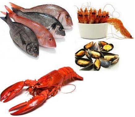 Правильное питание - основные правила