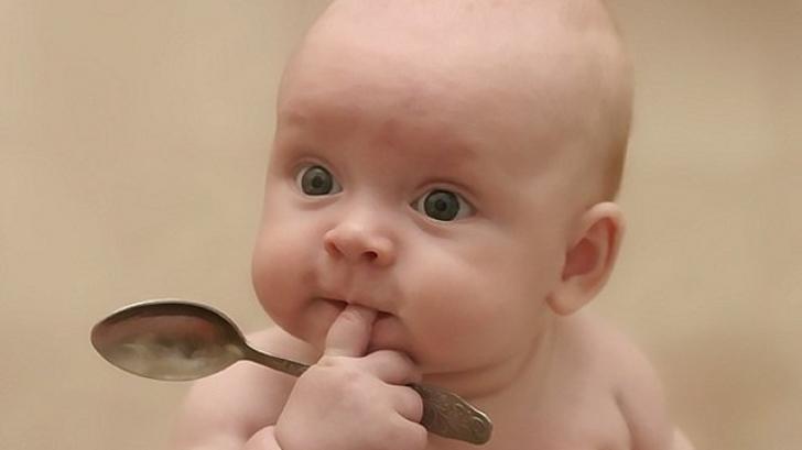 Как правильно вводить прикорм