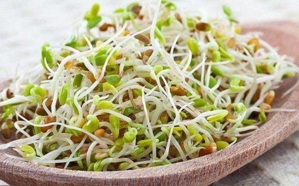 Пророщенная пшеница