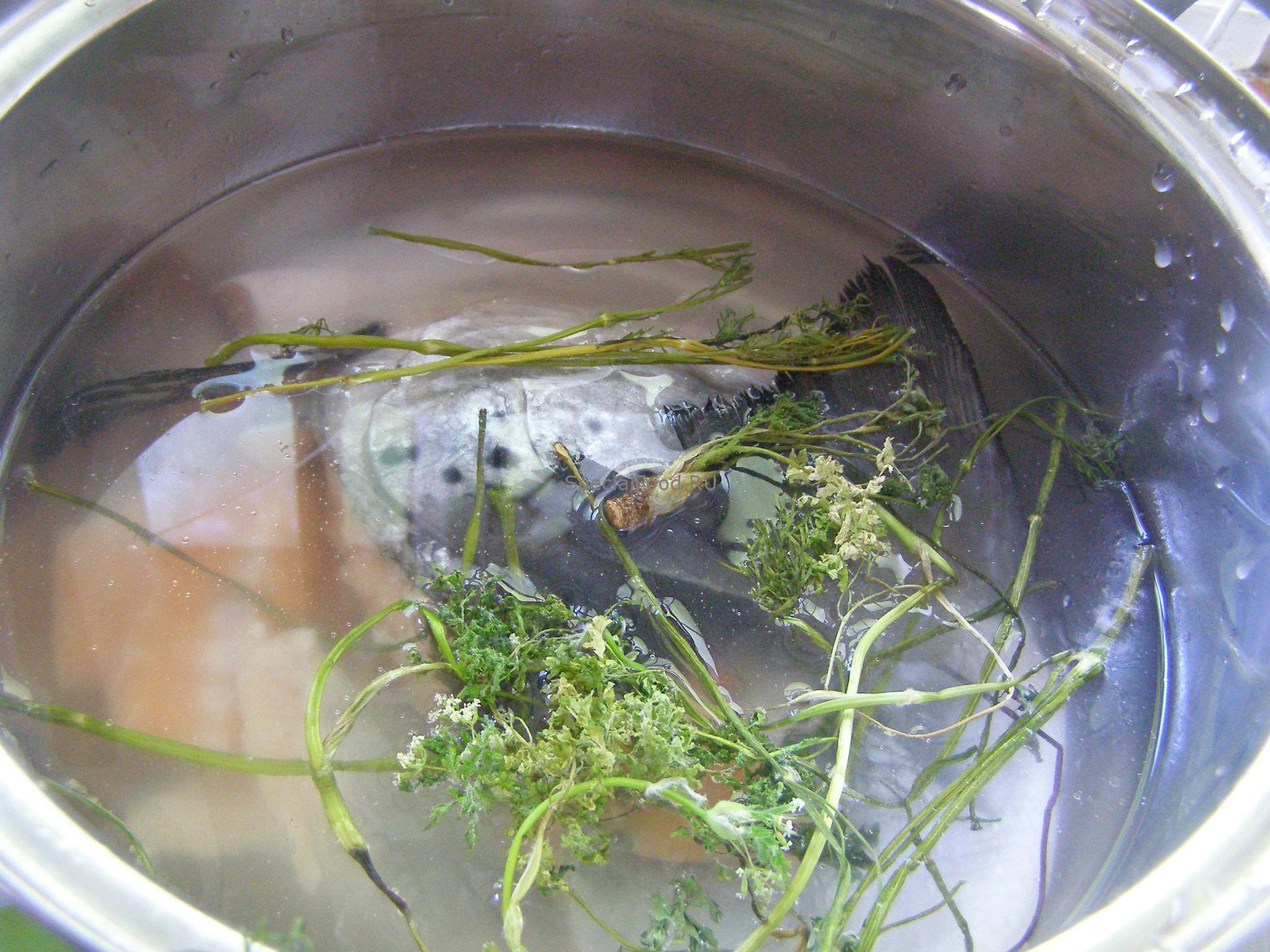 Рыба в кастрюле