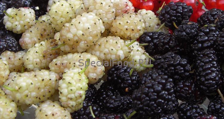 Черная и белая шелковица